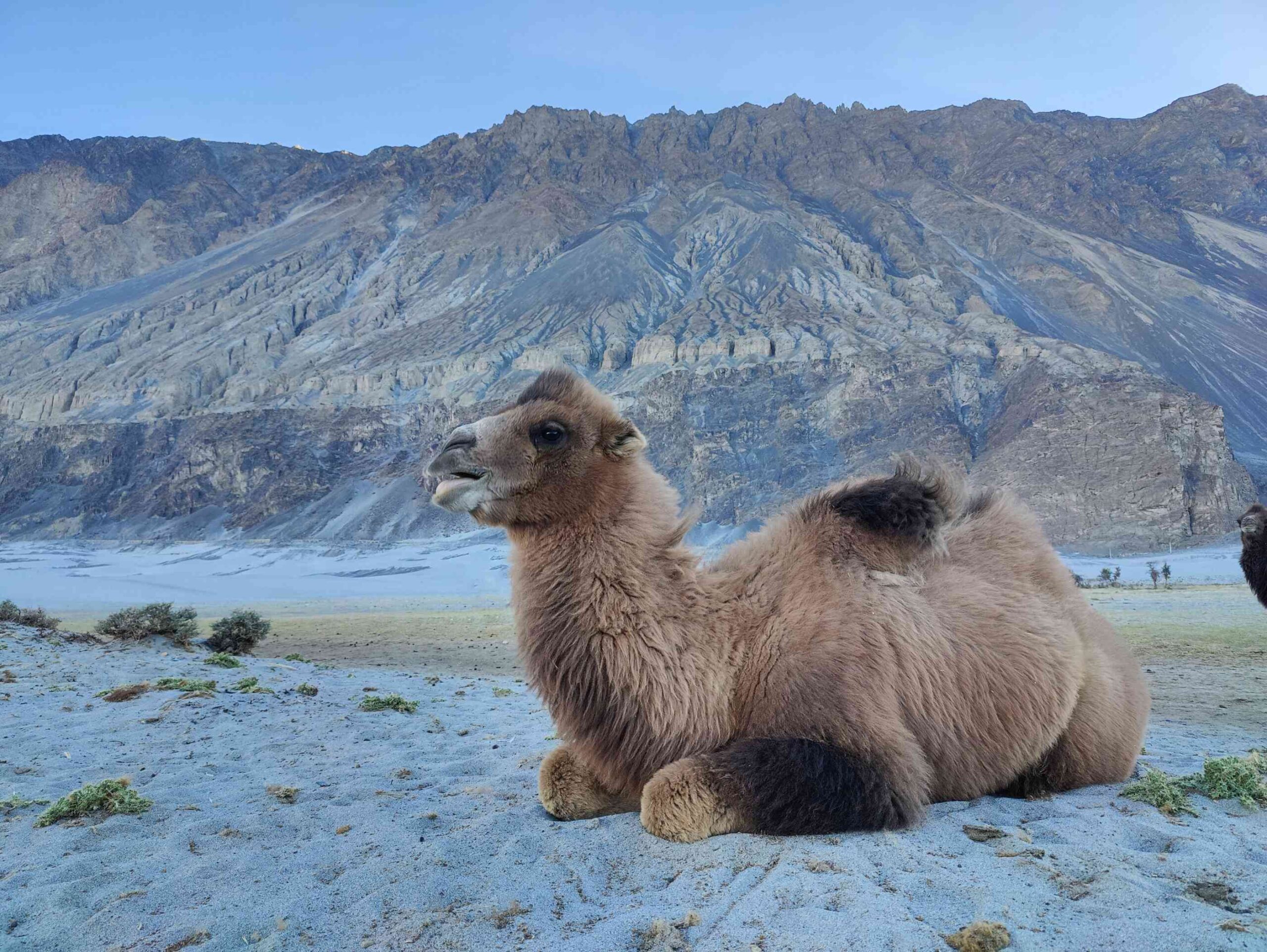 Leh Pangong Nubra Valley Tour 2024